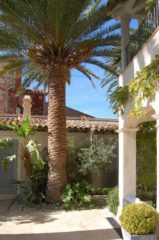 Pastis Hotel St Tropez Сен-Тропе Екстер'єр фото